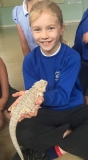 Acomb Pets_01