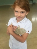 Acomb Pets_02