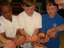 Acomb Pets_03