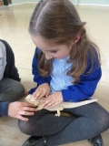 Acomb Pets_07