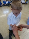 Acomb Pets_08