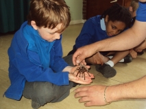 Acomb Pets_09