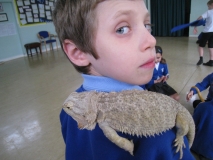 Acomb Pets_15