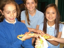 Acomb Pets_16
