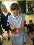Acomb Pets_16