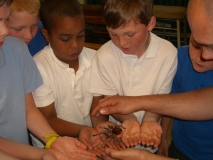 Acomb Pets_19