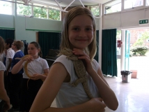 Acomb Pets_22