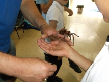Acomb Pets_23