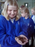 Y4 Creatures 3