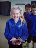 Y4 Creatures