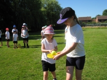 bat & ball 3