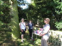 water stop shade