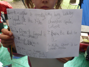 Y1 Instructions