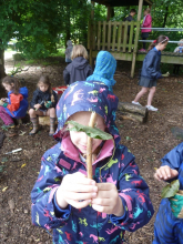 Y1 Sun Shade