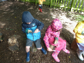 Y1 Whittle