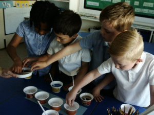 Year 2 Cress_1