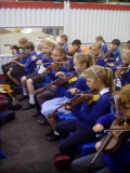 violins 2