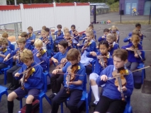 violins
