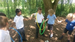 KS1 d
