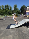skate 5
