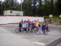 bikes