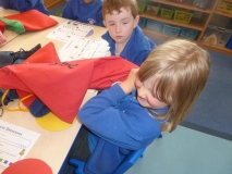 Y1 Senses