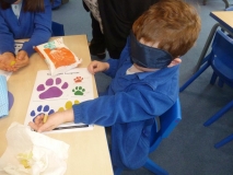 Y1 senses5