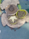Mud 3