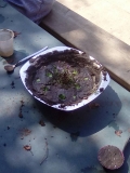 Mud 7