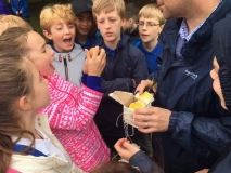 egg4