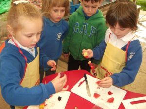 Fruit Kebabs